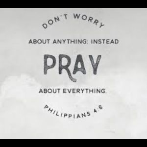 Meet your Posher, Layton